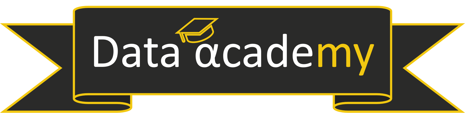 Data Academy